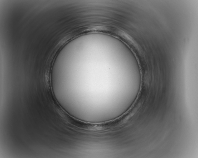 X0000088751321200706282157