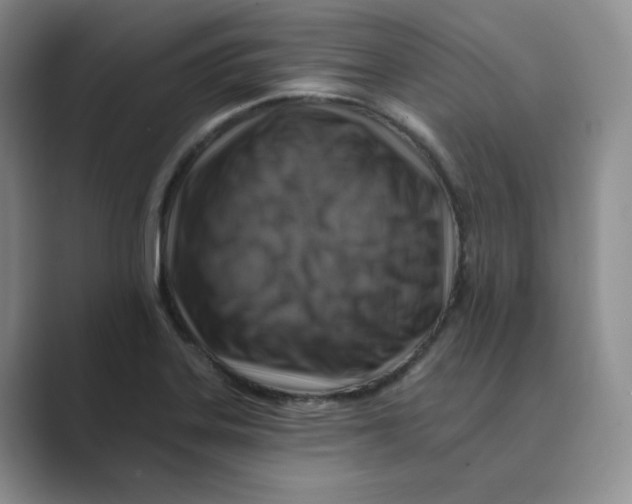 X0000088751323200706282157