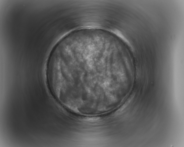 X0000088751325200706282157