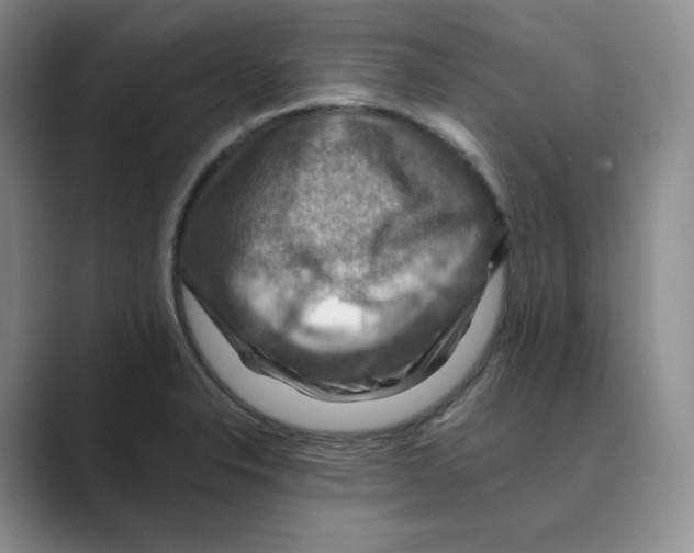 X0000088751326200706282157