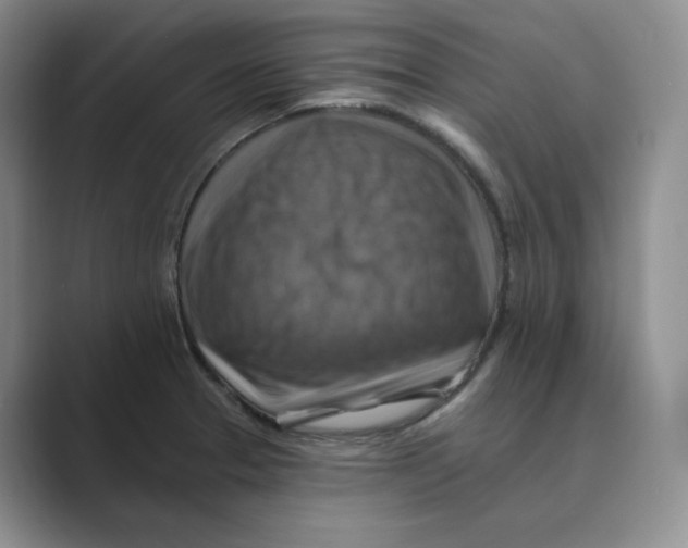 X0000088751329200706282157