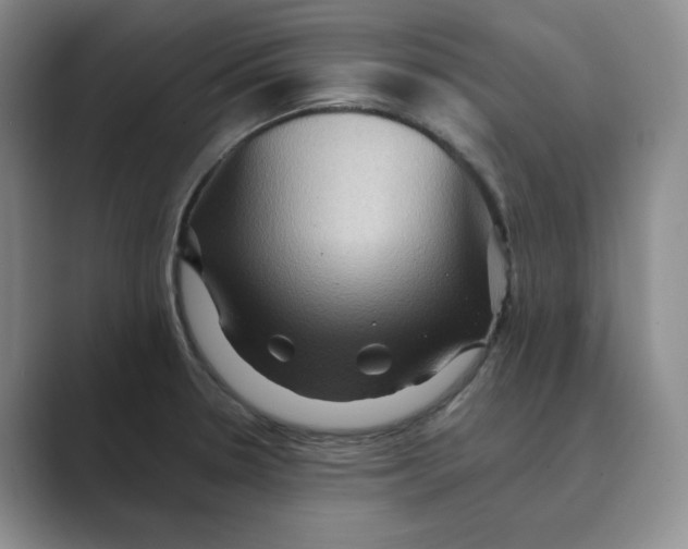 X0000088751330200706282157