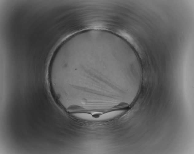 X0000088751331200706282157