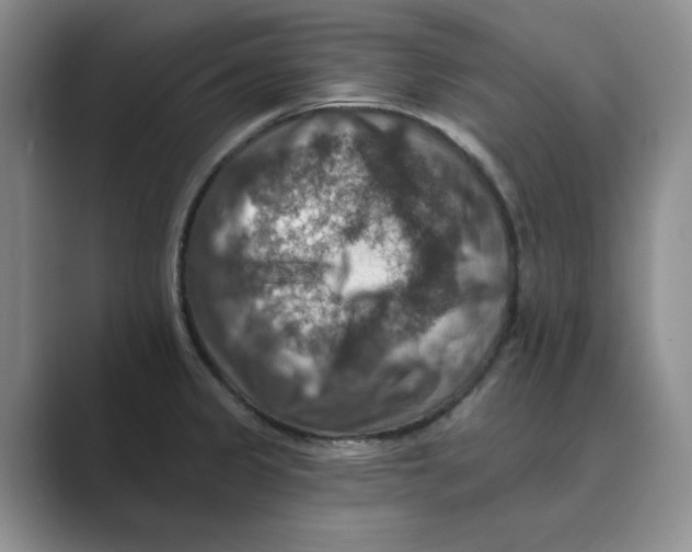 X0000088751333200706282157