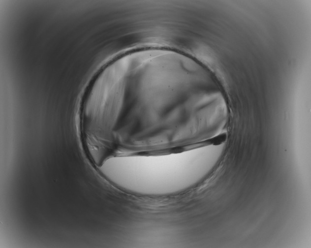 X0000088751334200706282157