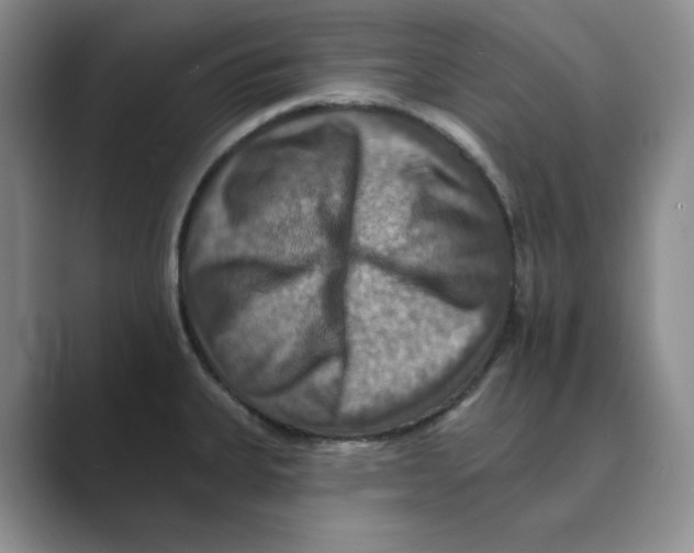 X0000088751335200706282157