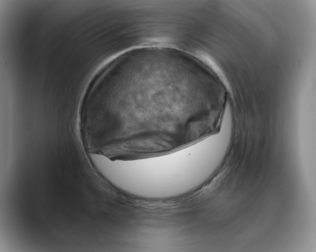 X0000088751336200706282157