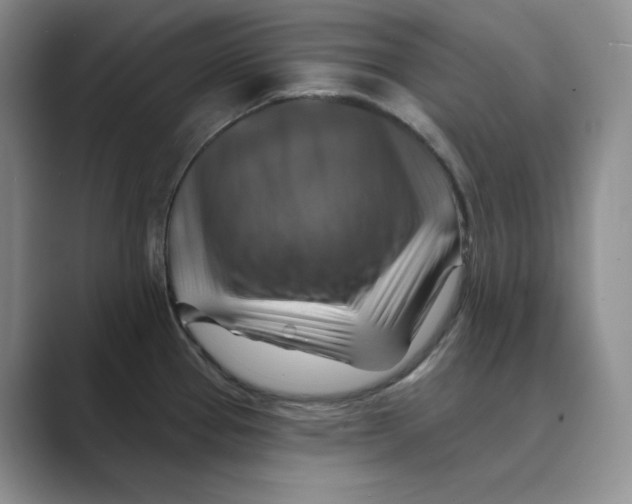 X0000088751337200706282157