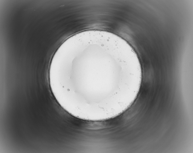 X0000088751338200706282157