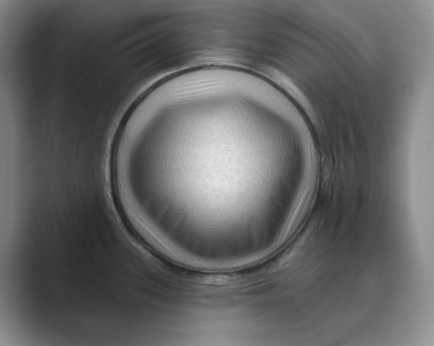 X0000088751339200706282157