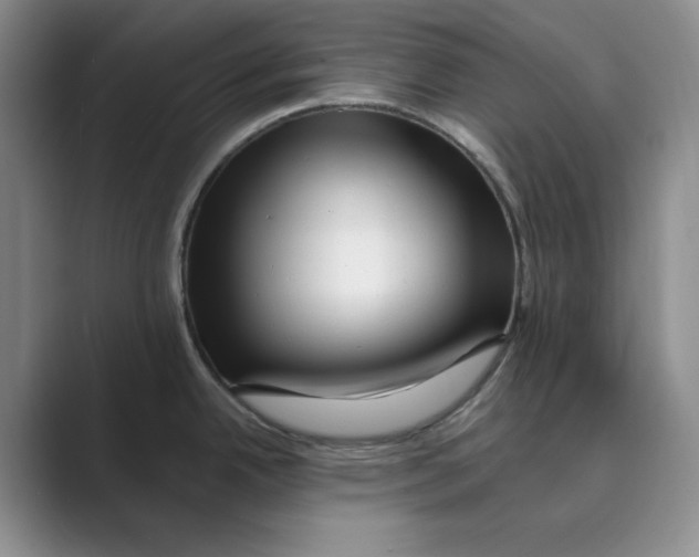 X0000088751342200706282157