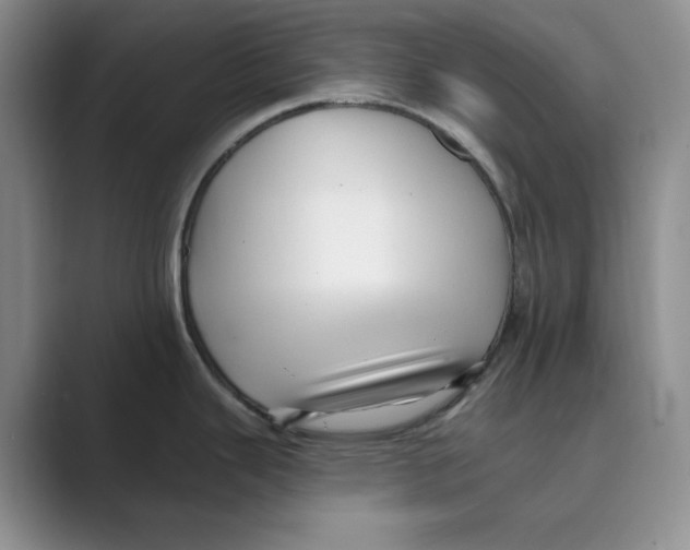 X0000088751343200706282158