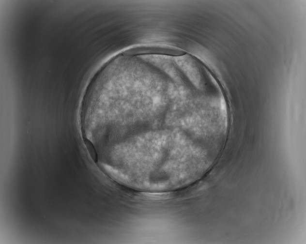 X0000088751344200706282158