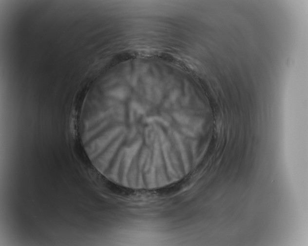 X0000088751346200706282157