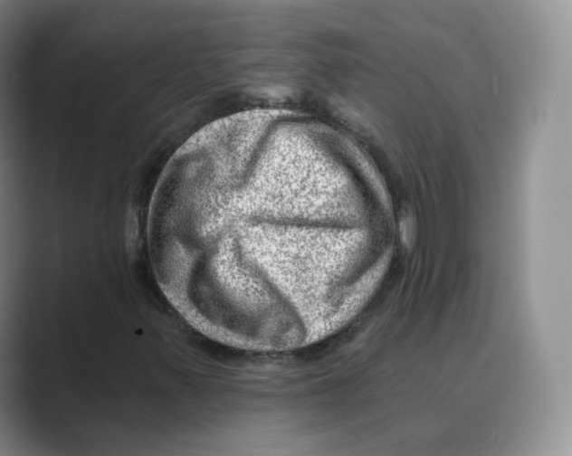 X0000088751347200706282157