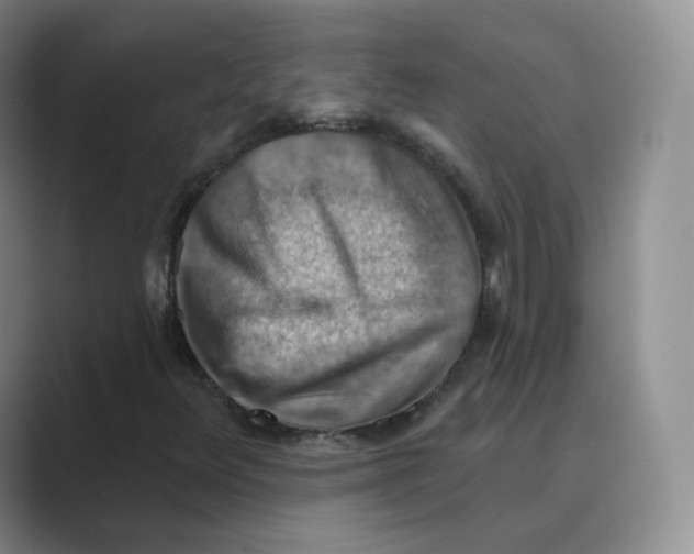 X0000088751348200706282157