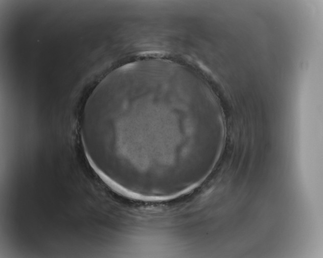 X0000088751351200706282157