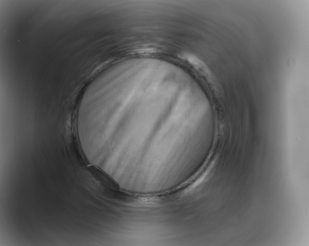 X0000088751353200706282157