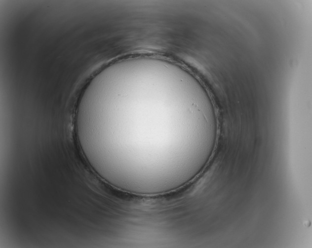 X0000088751355200706282157