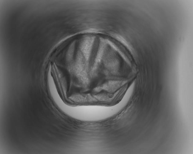 X0000088751356200706282157