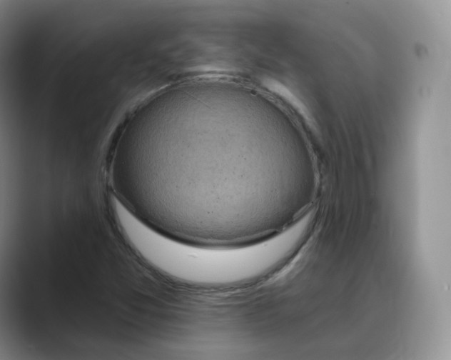 X0000088751357200706282157