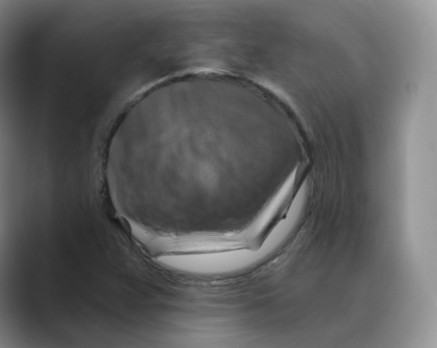 X0000088751359200706282157