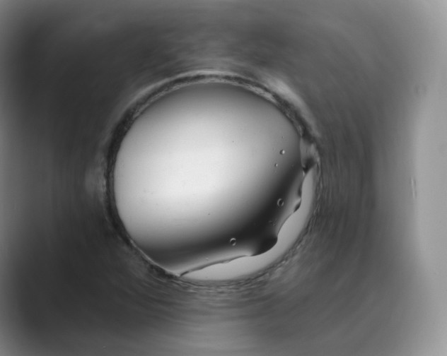 X0000088751360200706282157