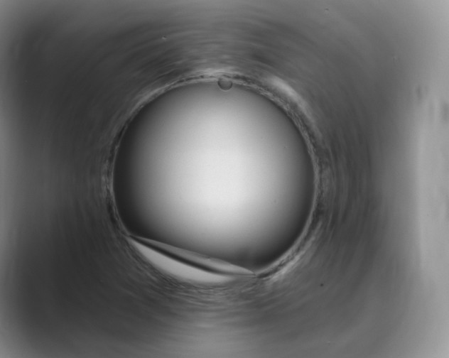 X0000088751361200706282157