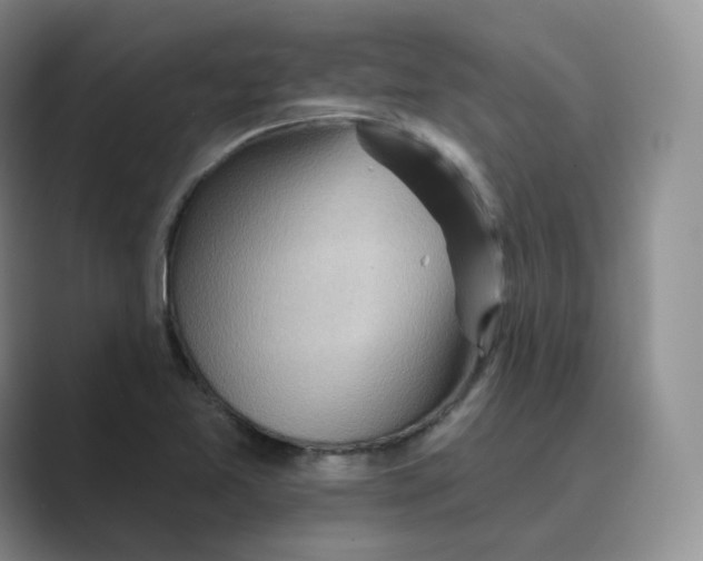 X0000088751365200706282156