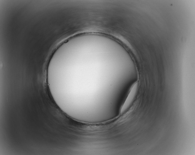 X0000088751366200706282156