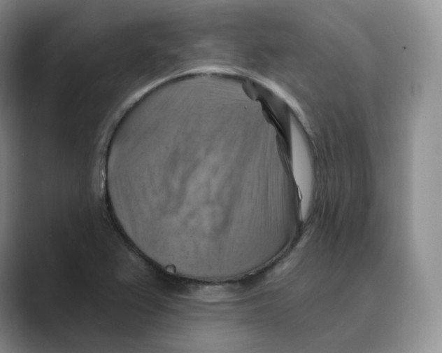 X0000088751367200706282156