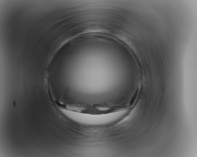 X0000088751369200706282156