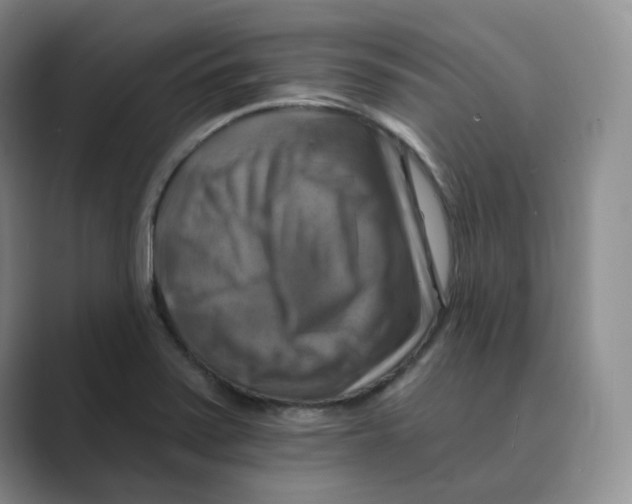 X0000088751371200706282156