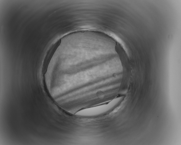 X0000088751373200706282156