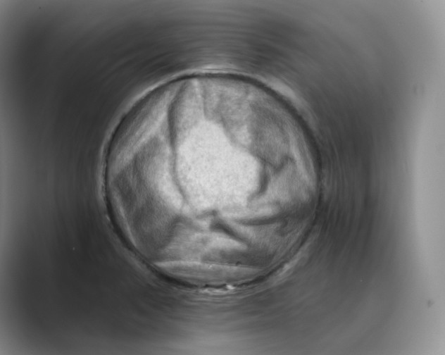 X0000088751374200706282156