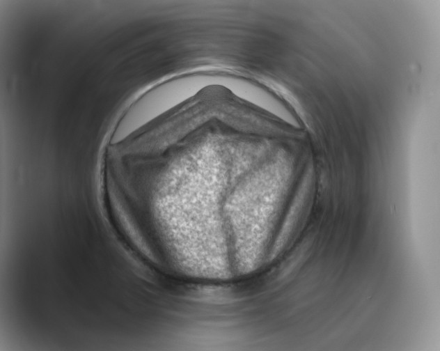 X0000088751375200706282156