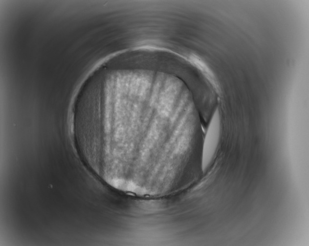 X0000088751376200706282156