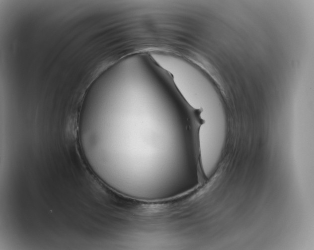 X0000088751377200706282156