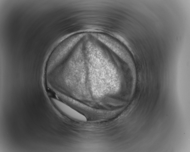 X0000088751379200706282156