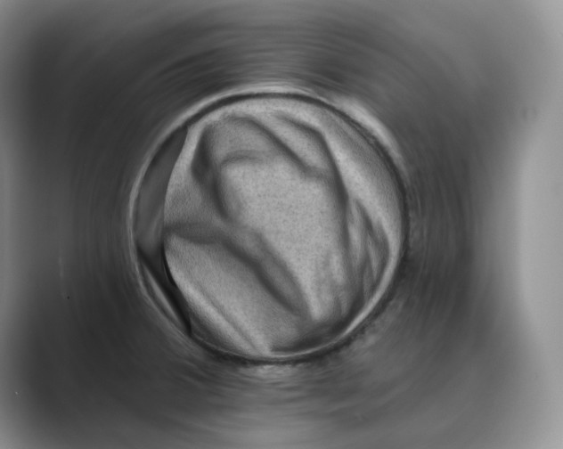 X0000088751380200706282156