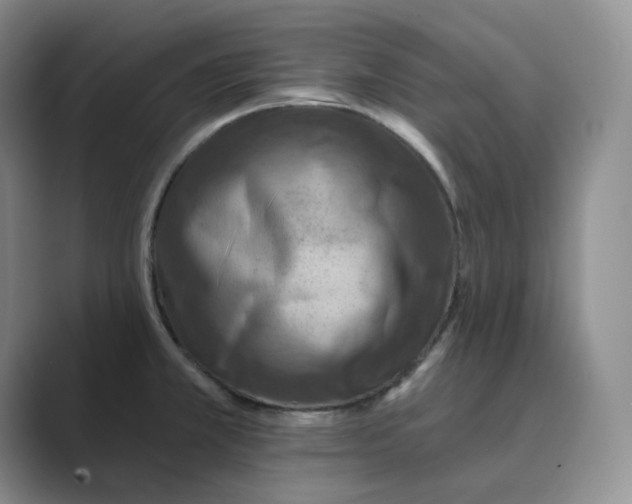 X0000088751381200706282156