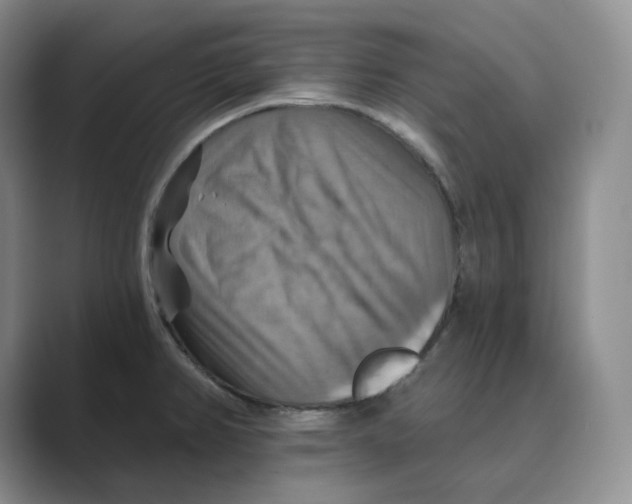 X0000088751382200706282156