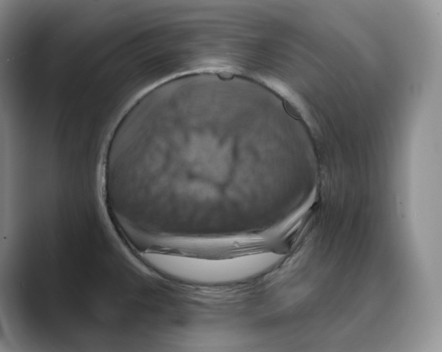 X0000088751383200706282156