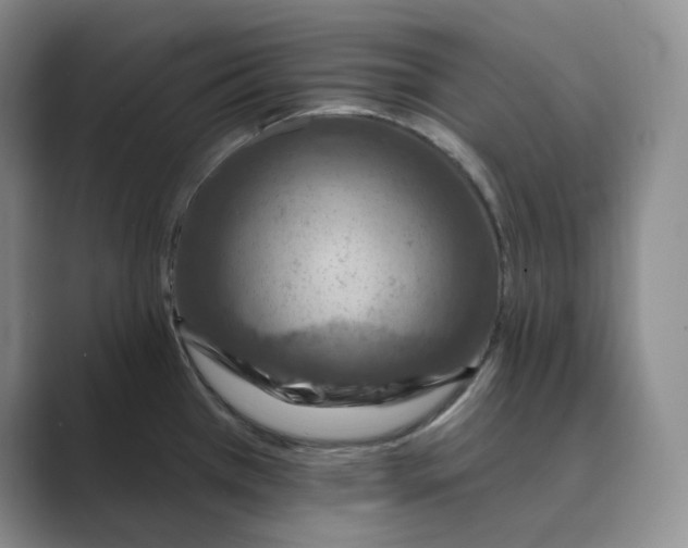 X0000088751385200706282156