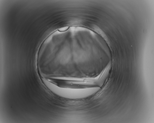 X0000088751386200706282156