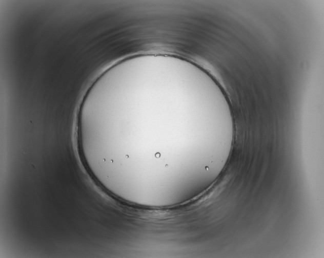 X0000088751387200706282156