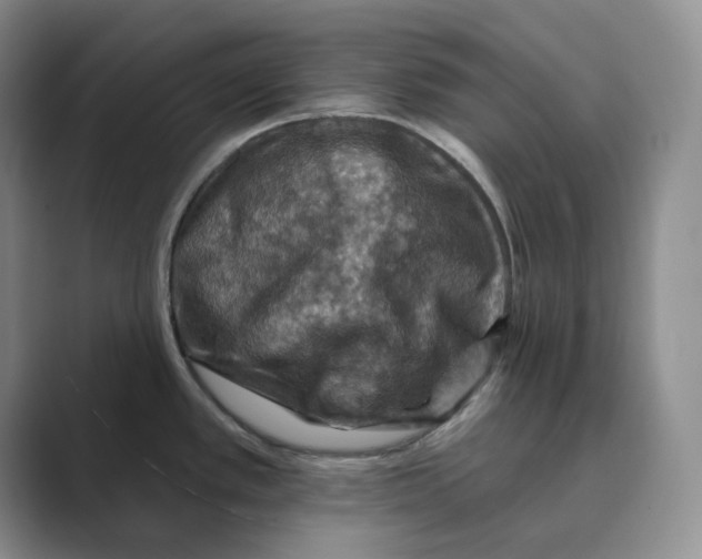 X0000088751389200706282156