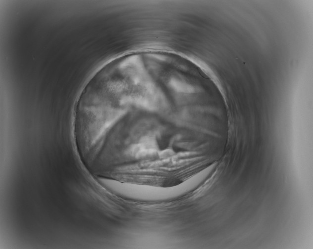 X0000088751390200706282156