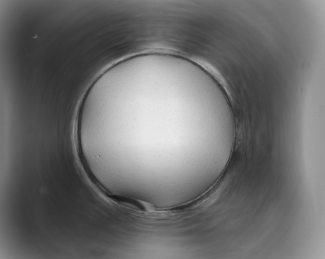 X0000088751391200706282156