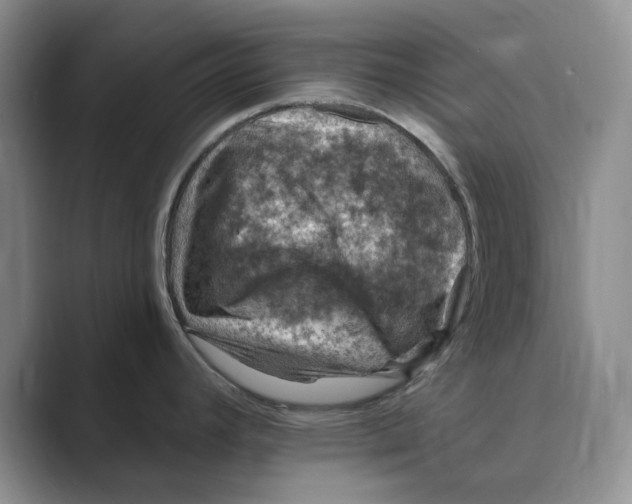 X0000088751392200706282156